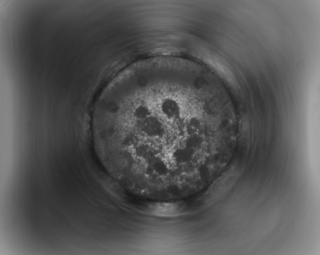 X0000091730361200709141230