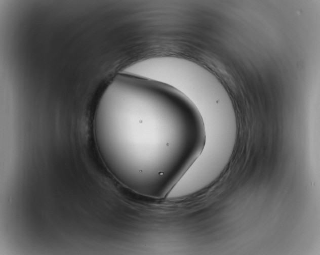 X0000091730362200709141230