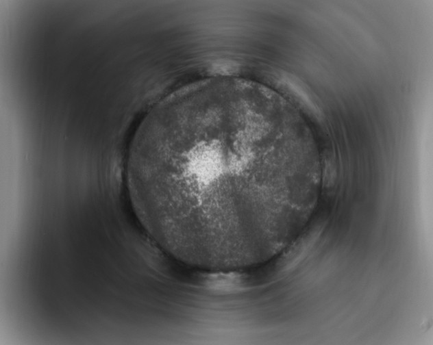 X0000091730363200709141230