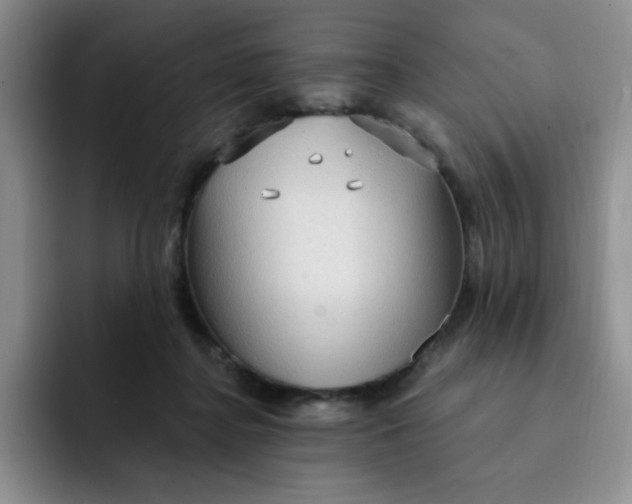 X0000091730364200709141230