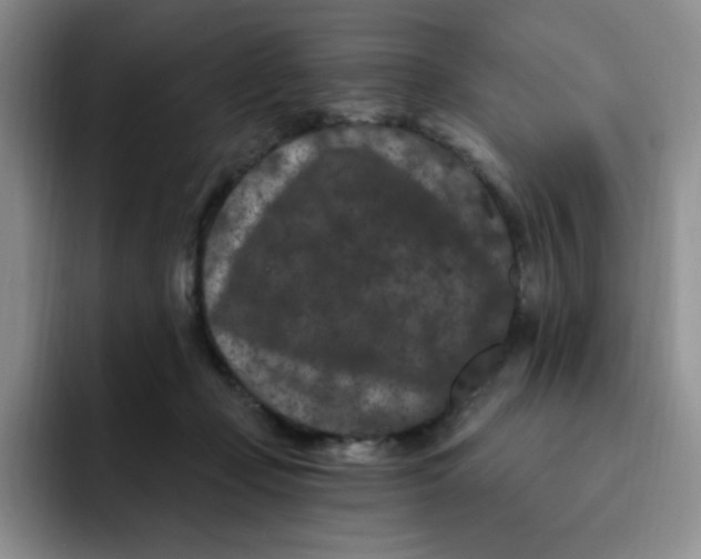 X0000091730365200709141231