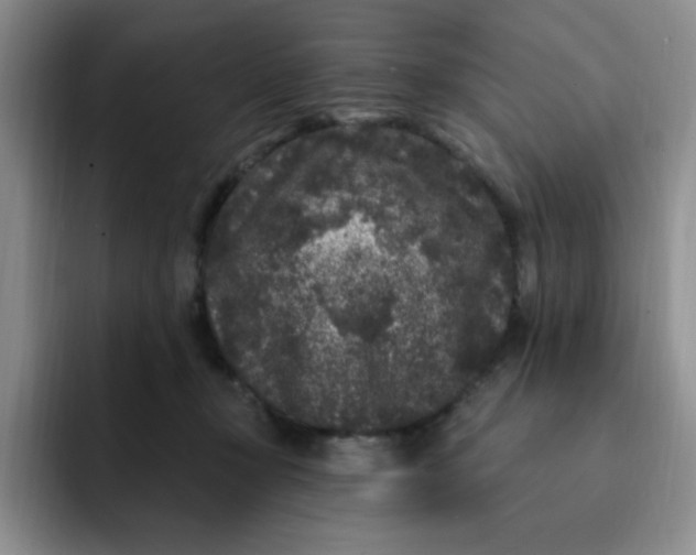 X0000091730367200709141231