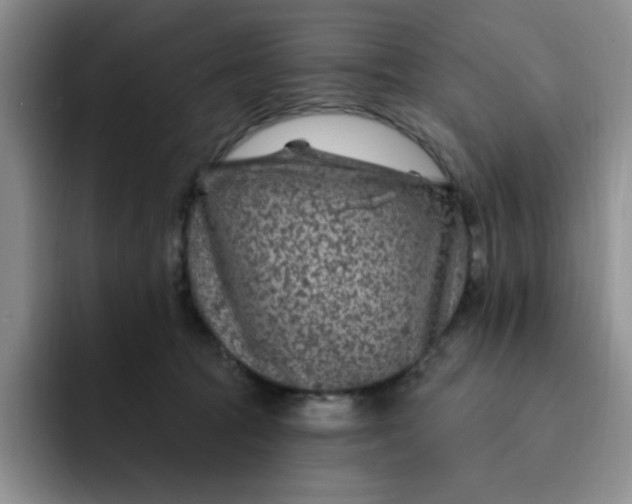 X0000091730369200709141231