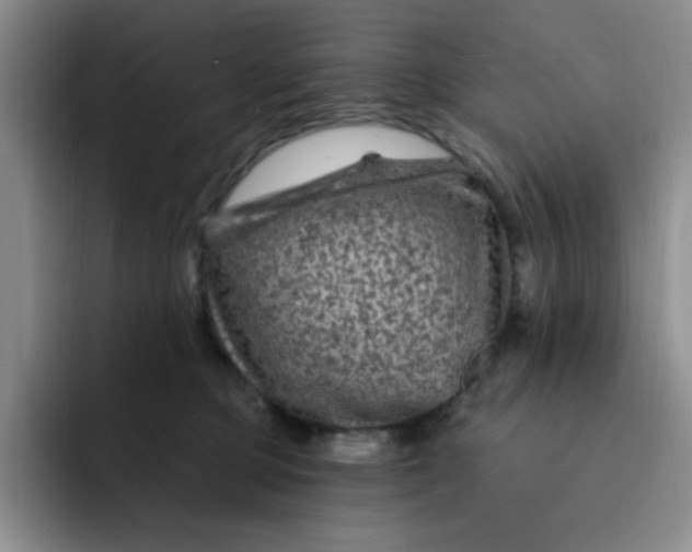 X0000091730373200709141231