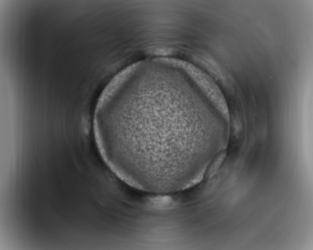 X0000091730374200709141231