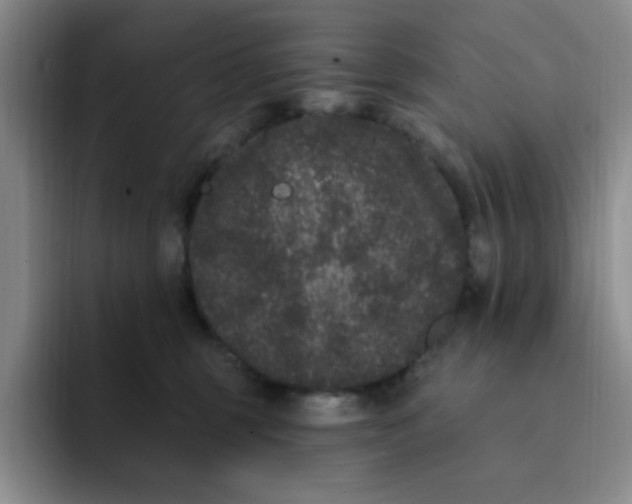 X0000091730375200709141231