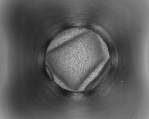 X0000091730376200709141231