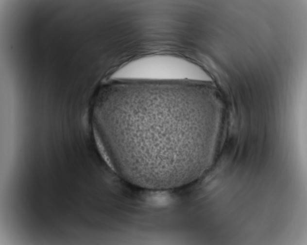 X0000091730377200709141231