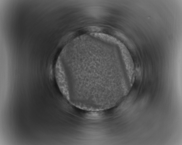 X0000091730381200709141231