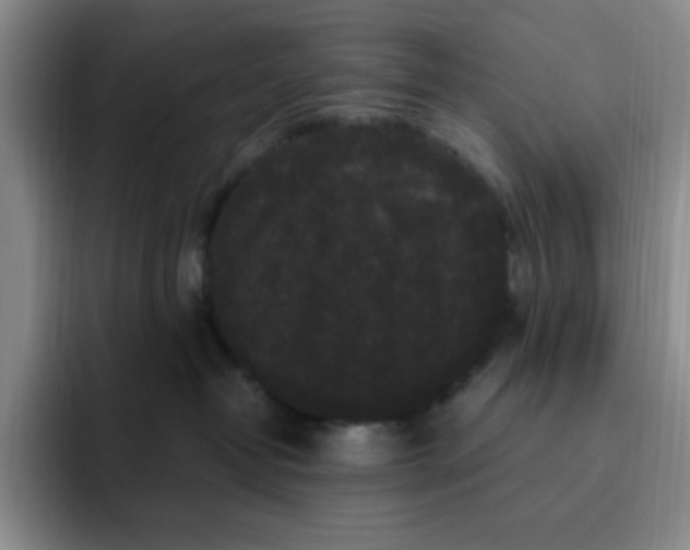 X0000091730382200709141231