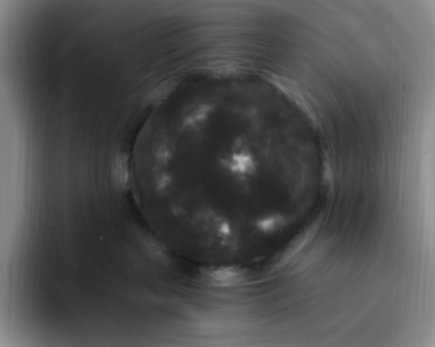 X0000091730383200709141231