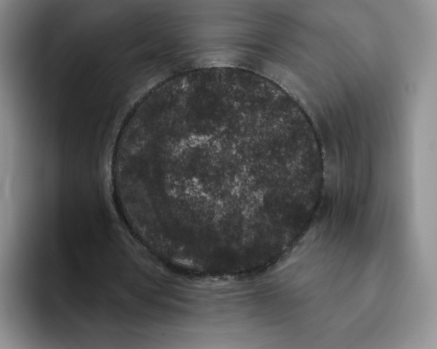 X0000091730386200709141230