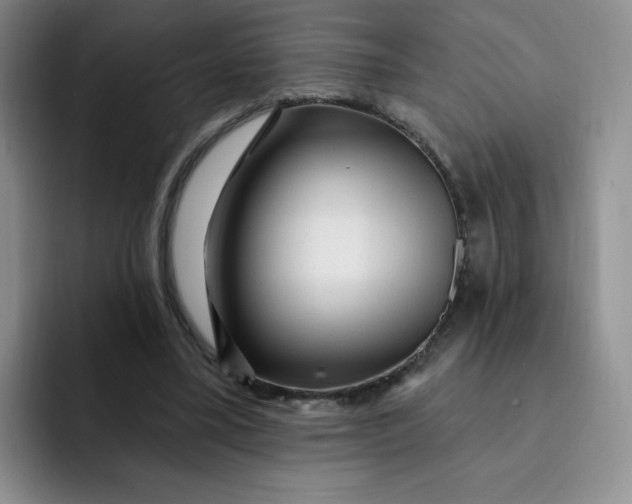 X0000091730395200709141230