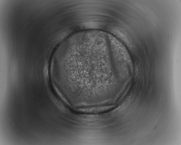 X0000091730398200709141230