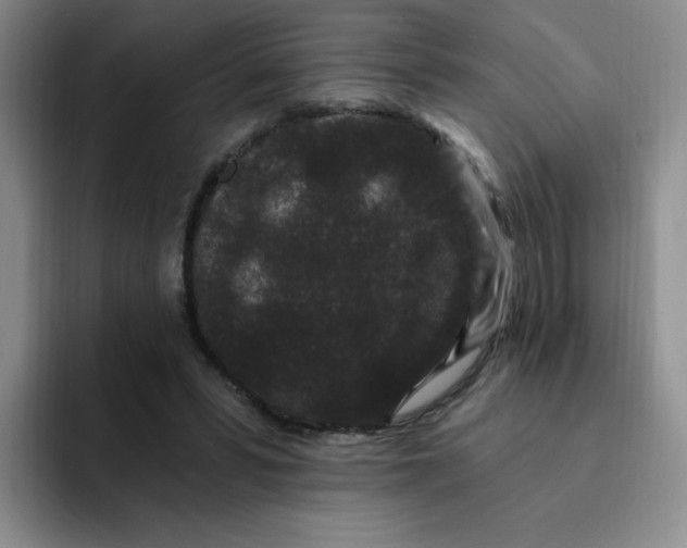 X0000091730399200709141230