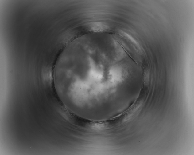 X0000091730405200709141230