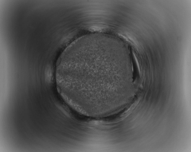 X0000091730408200709141230