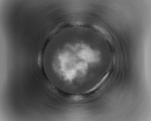 X0000091730409200709141230