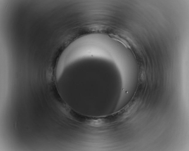 X0000091730411200709141230