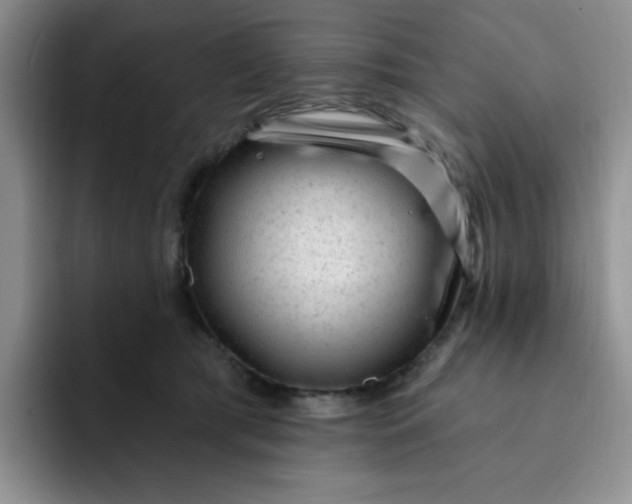 X0000091730417200709141230