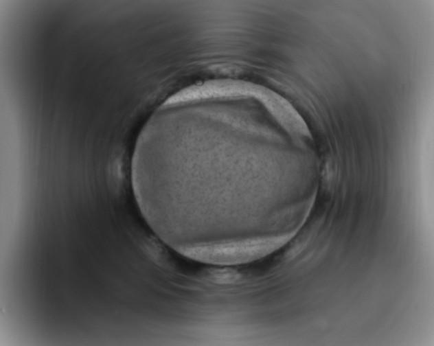 X0000091730424200709141229