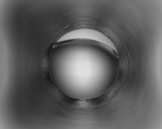 X0000091730425200709141229