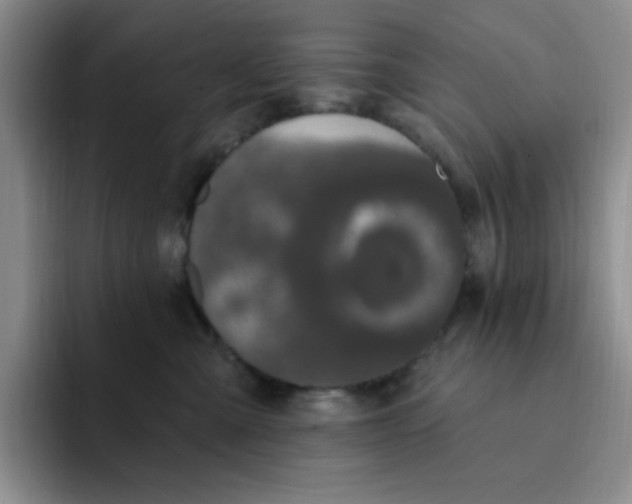 X0000091730427200709141229