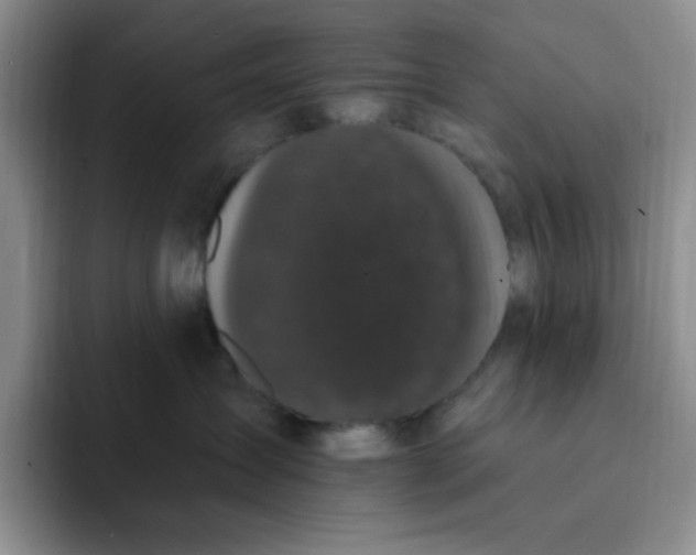 X0000091730431200709141229