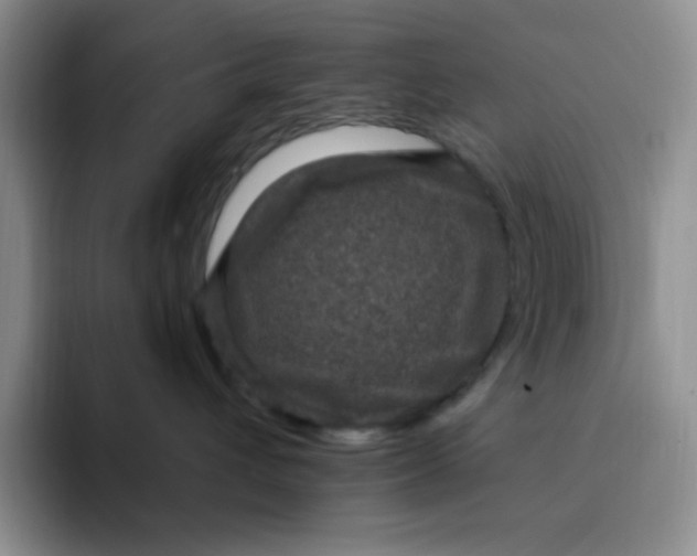 X0000091730432200709141229