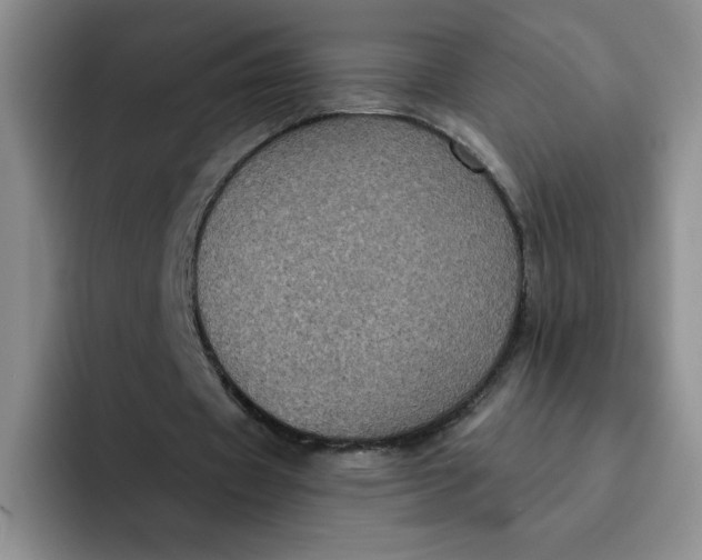 X0000091730433200709141229