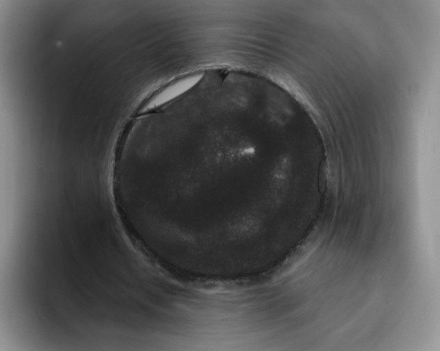 X0000091730434200709141229