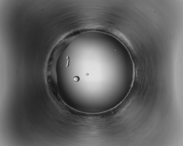 X0000091730436200709141229