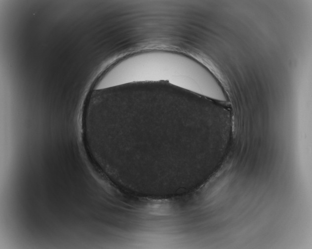 X0000091730438200709141229