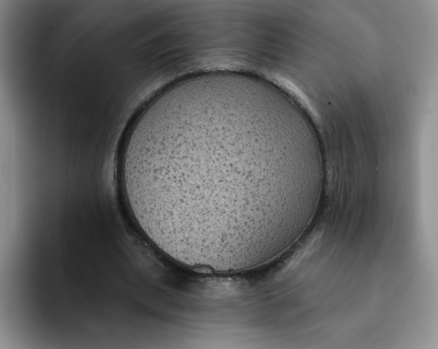 X0000091730439200709141229