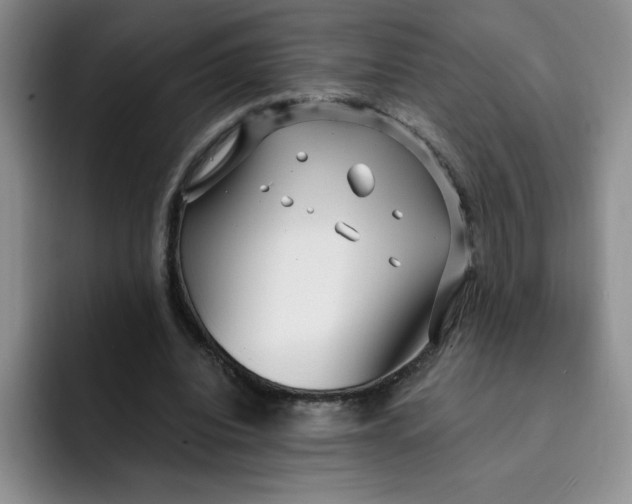 X0000091730440200709141229