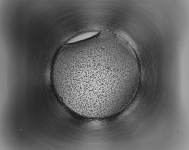 X0000091730441200709141229