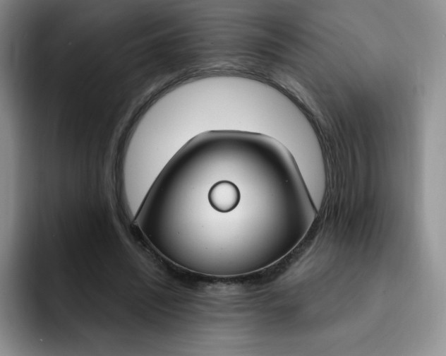 X0000091730444200709141229