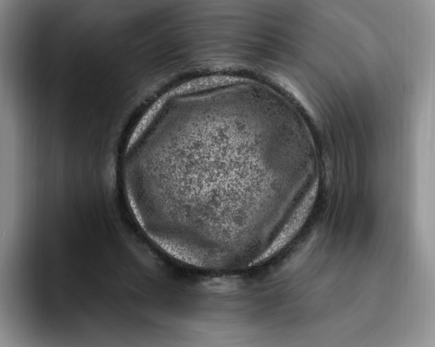 X0000091730447200709141229