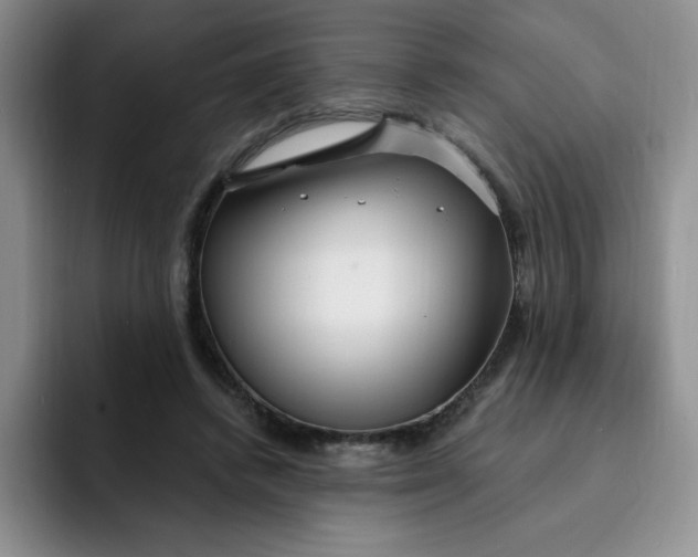 X0000091730448200709141229