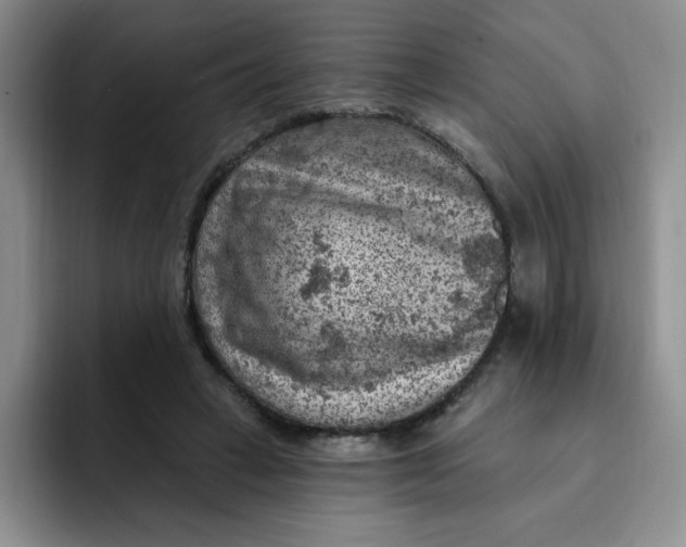 X0000091730449200709141229