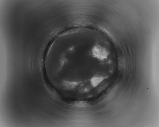 X0000091730451200709141229