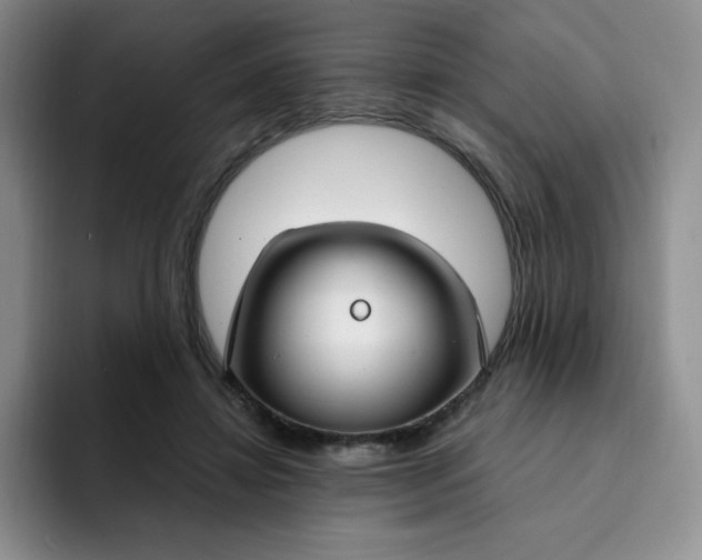 X0000091730452200709141229