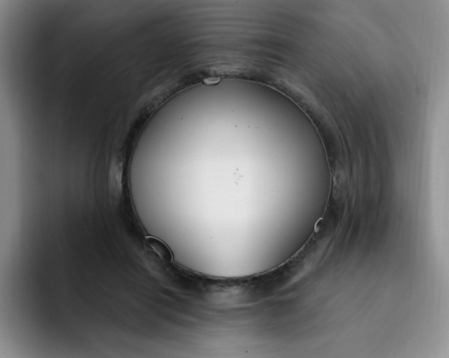 X0000091730454200709141229