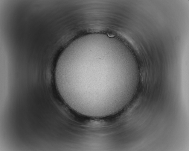 X0000091730455200709141229