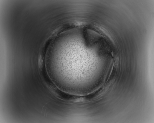 X0000091730456200709141229