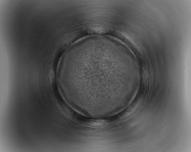 X0000091730459200709141229