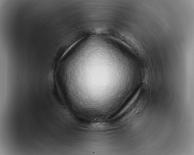 X0000091730461200709141229