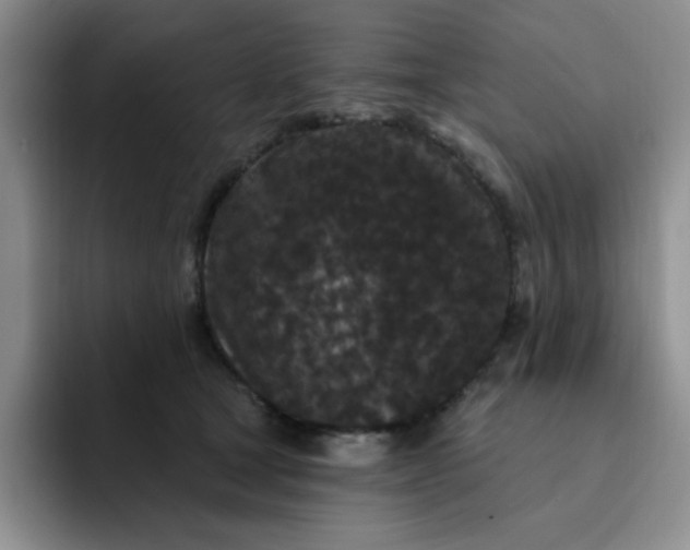 X0000091730465200709141229