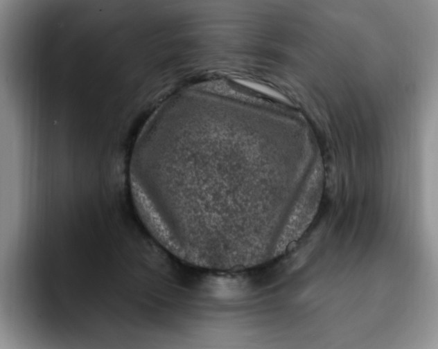 X0000091730466200709141229