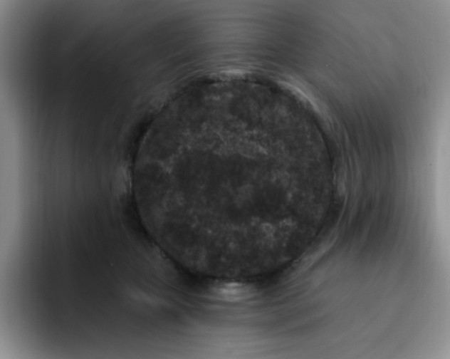 X0000091730467200709141229